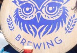 Blue Owl Brewery