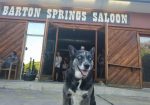 Barton Springs Saloon
